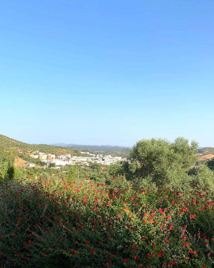 孔斯坦蒂纳El Molino De La Quinta公寓 外观 照片